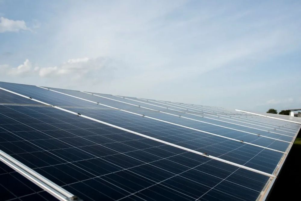 GoLIVE | Trina Solar Launches New Performance Management System, Boosting Workforce Efficiency