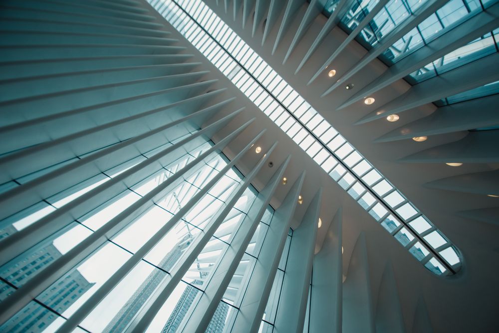 Did Your Work Last Year Change What the Organisation Is Capable of Doing?
